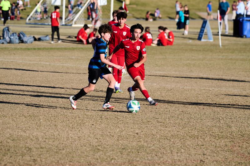 Tournament Photo 441