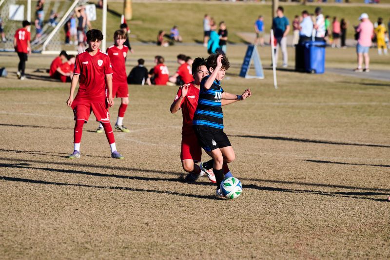 Tournament Photo 443