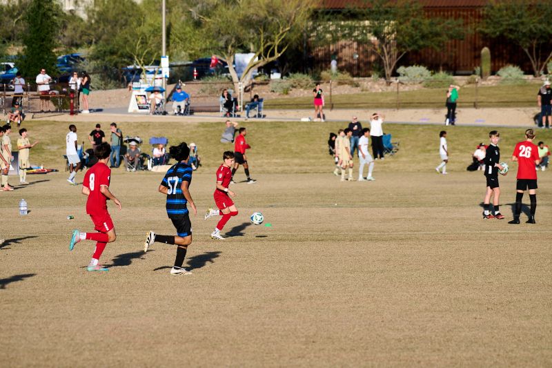 Tournament Photo 499