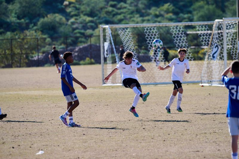 Tournament Photo 731