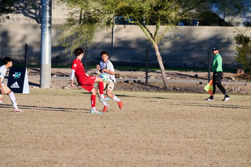 Tournament Photo 341